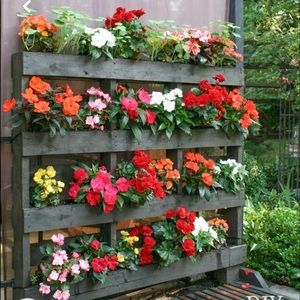 Meet your Posher, Noemi